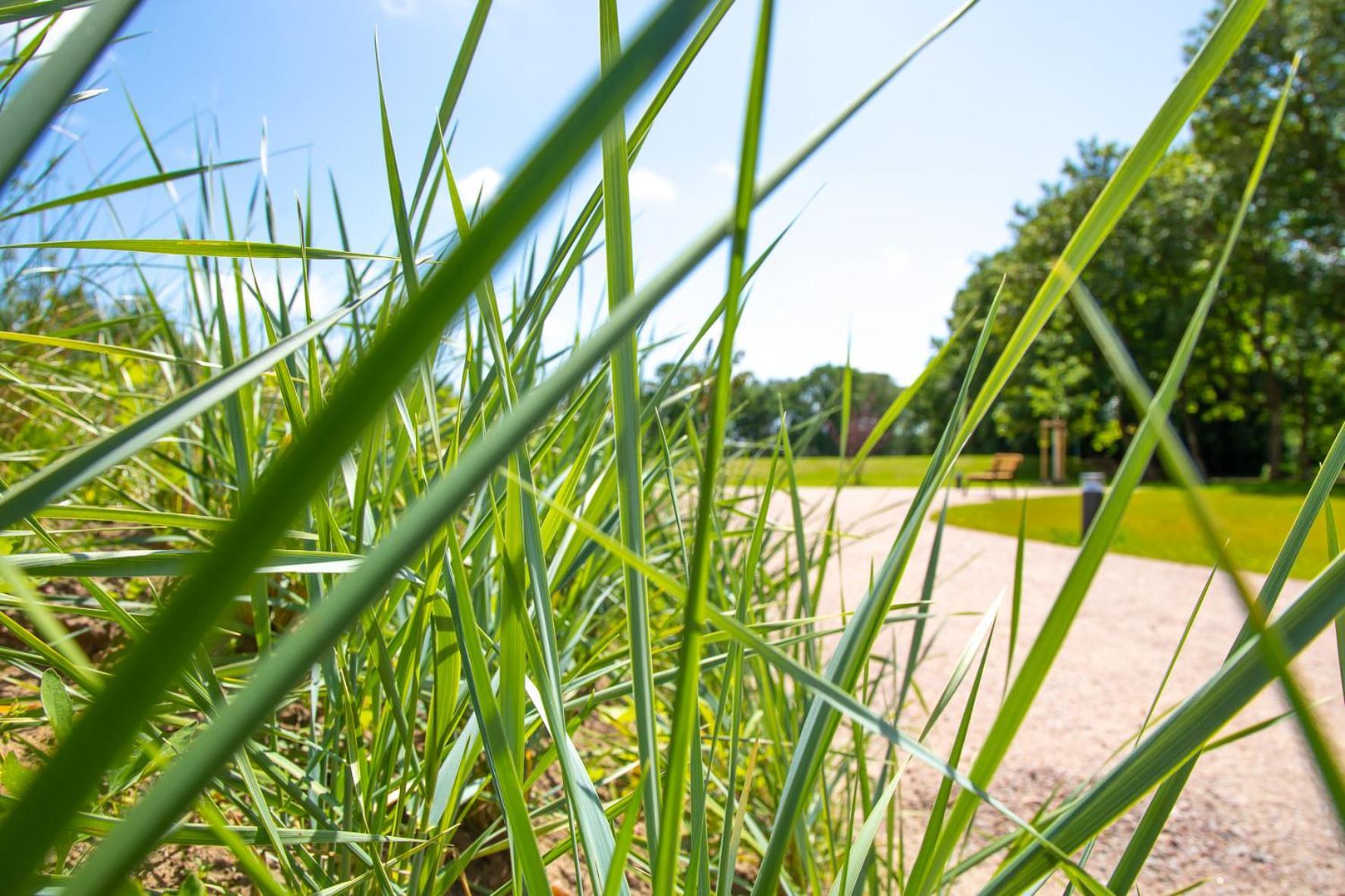 Wohnen Am Suedstrand - Ferienwohnung 0 4 Wyk auf Föhr Esterno foto