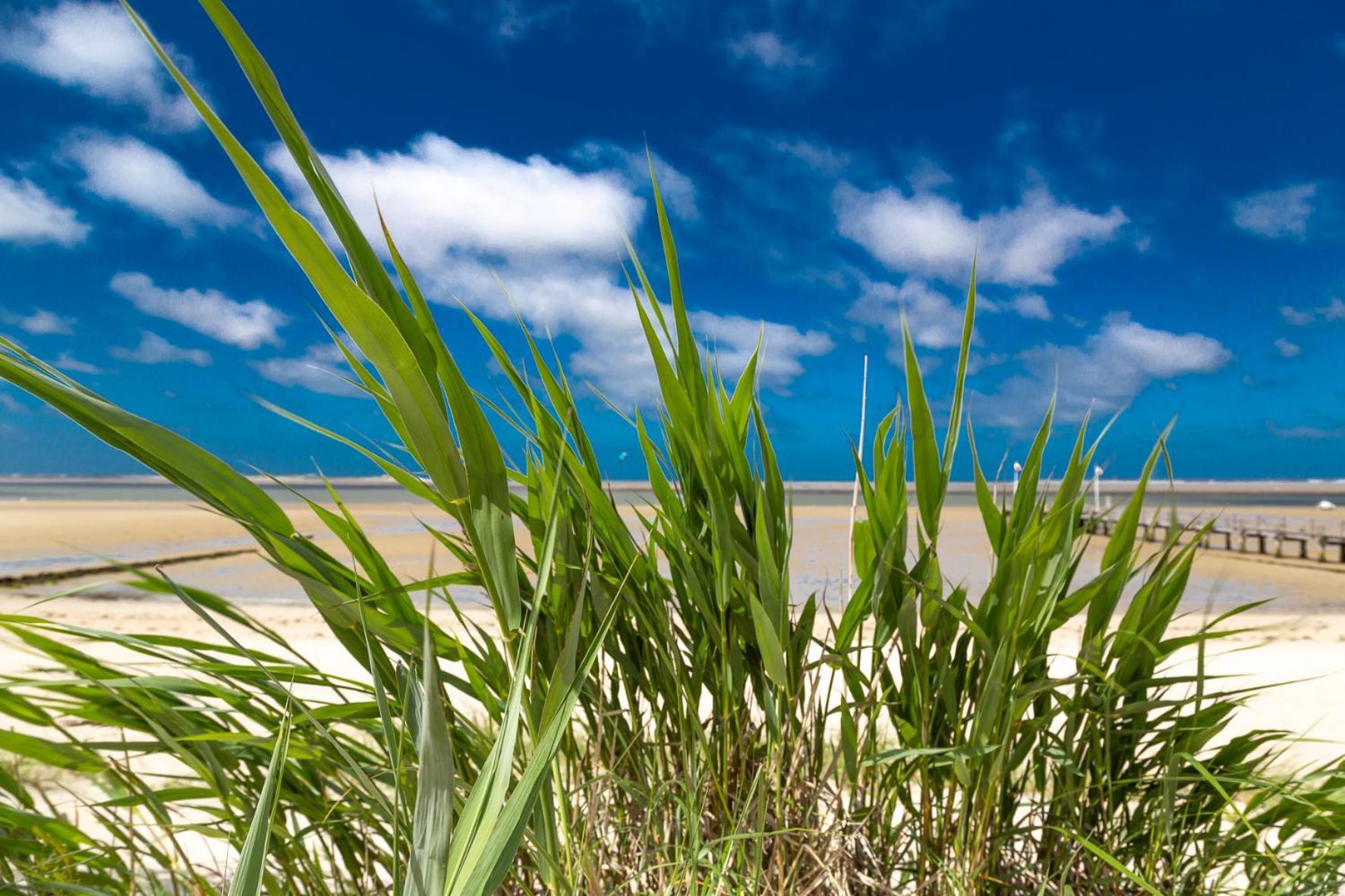 Wohnen Am Suedstrand - Ferienwohnung 0 4 Wyk auf Föhr Esterno foto