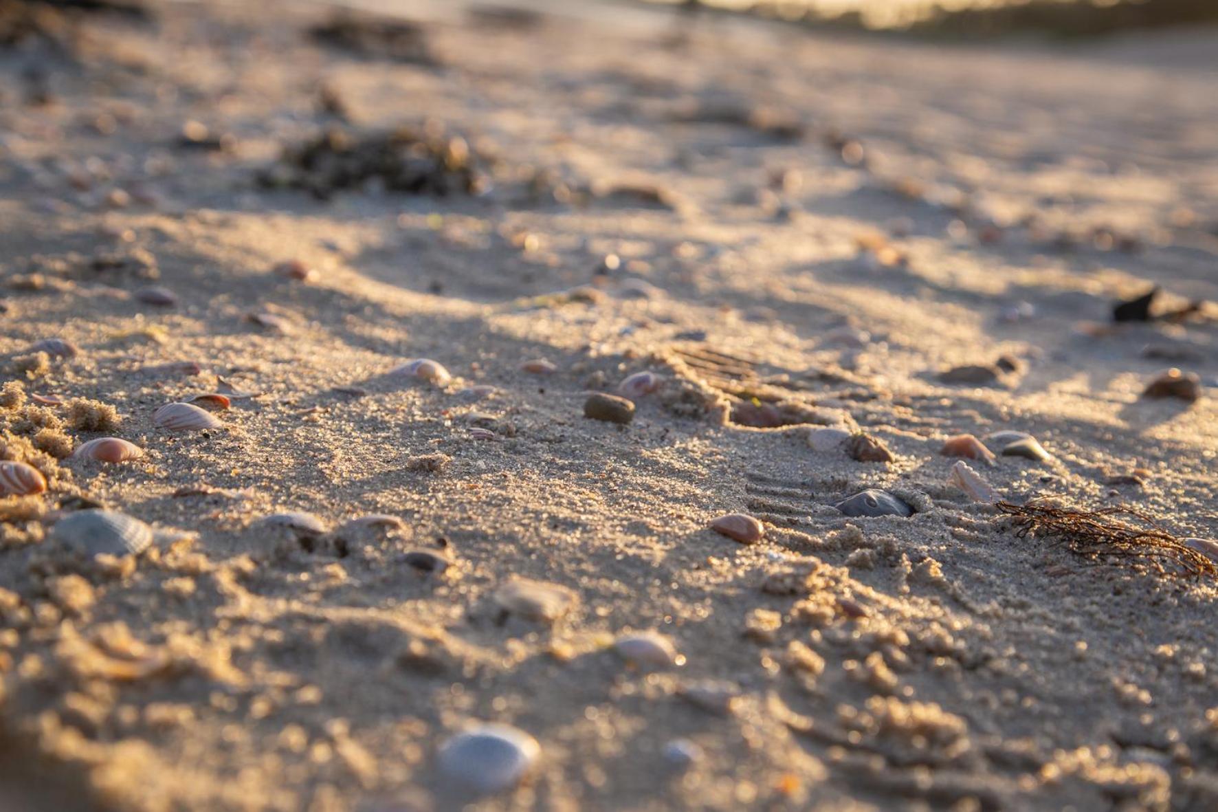 Wohnen Am Suedstrand - Ferienwohnung 0 4 Wyk auf Föhr Esterno foto